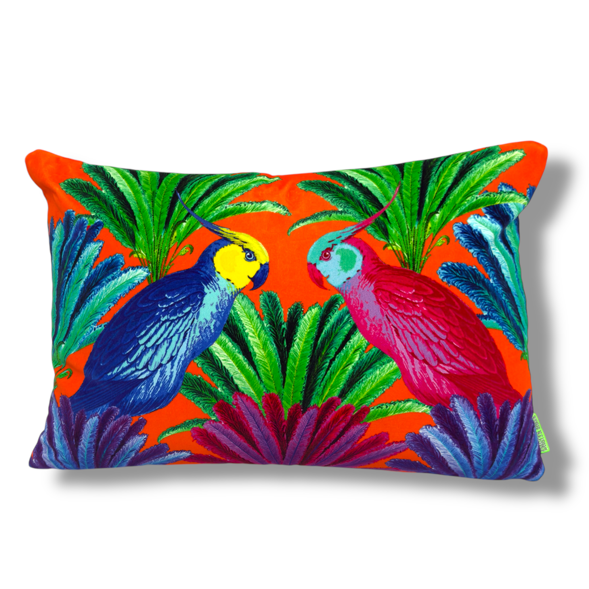 Cockatiels Orange Cushion