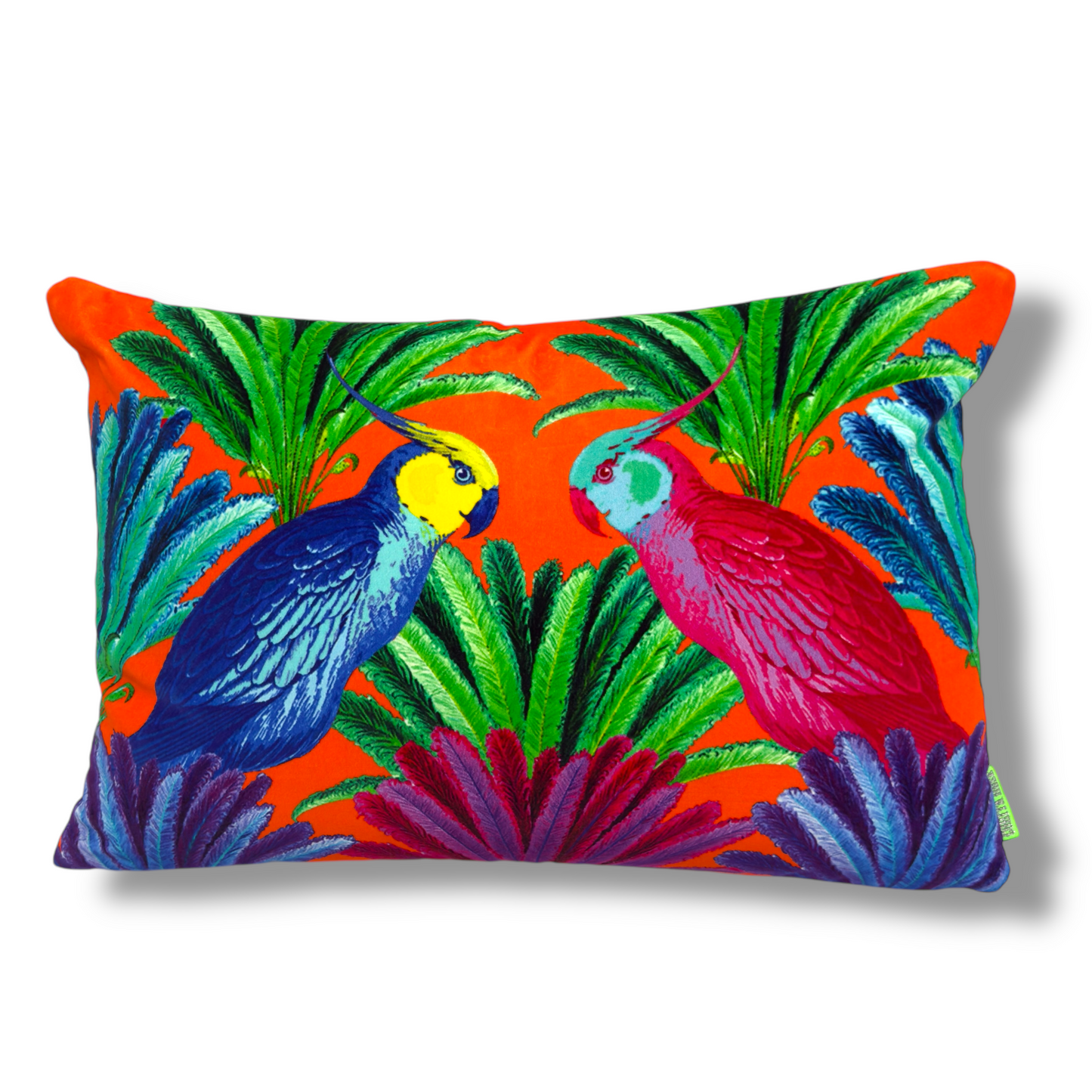 Cockatiels Orange Cushion