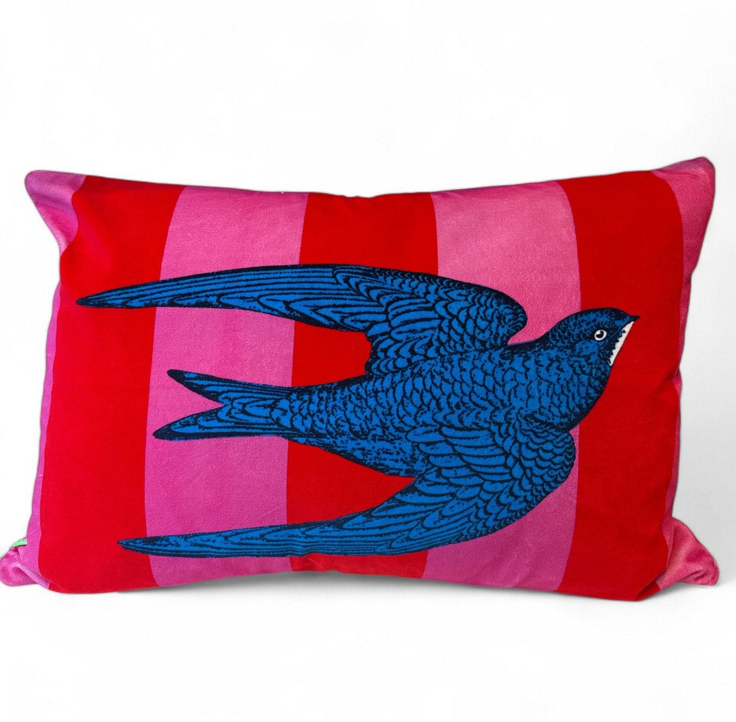 Swift Pink Cushion